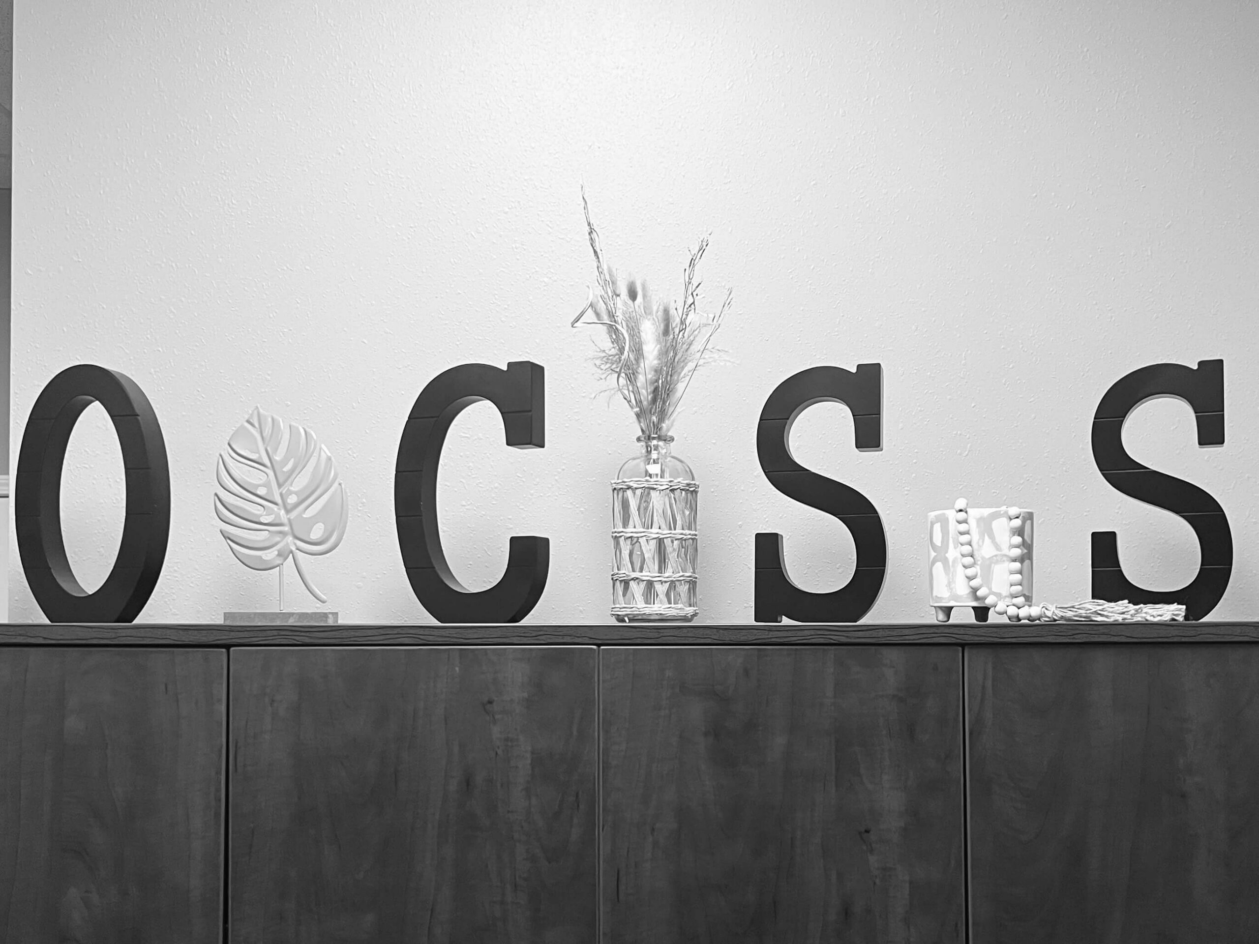 OCSS Our History scaled
